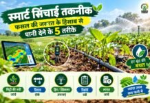स्मार्ट सिंचाई तकनीक: खेत की जरूरत के हिसाब से पानी देने के 5 तरीके