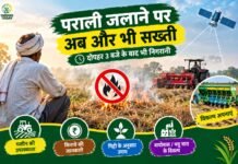 पराली जलाने पर दोपहर 3 बजे के बाद भी निगरानी, किसानों के लिए जरूरी जानकारी